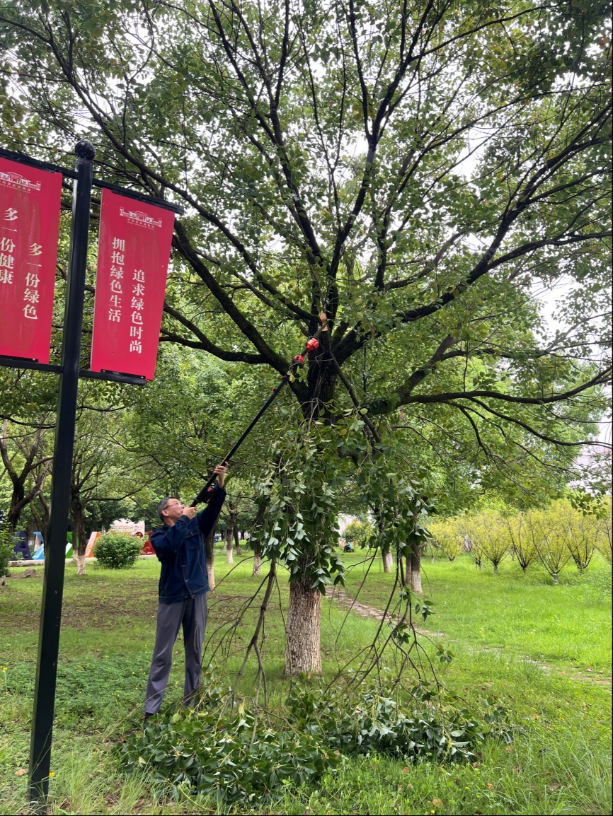 微信图片_20250813105025.png